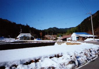 �ʉ͑��̏W��